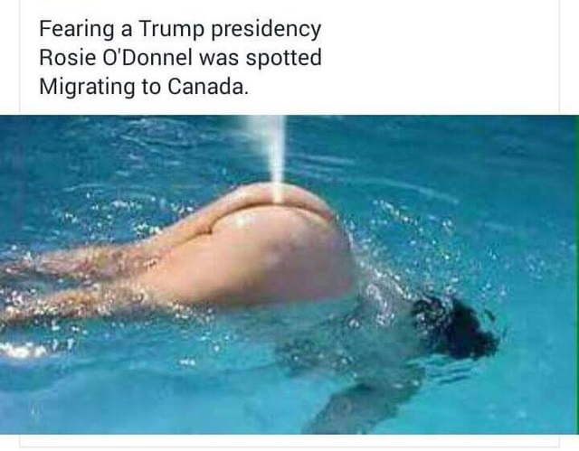 Liberal_Rosie_ODonnel_Migration_Canada_Whalespout.jpg