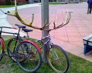 Bike-Rack2