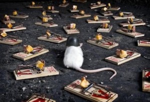 Mousetrap_Relationship