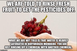 ScienceFaire_DiHydrogenMonoxide_Fruit_Wash