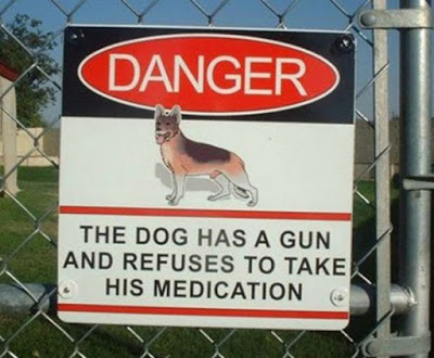 Dog_Has_Gun_Off_Meds