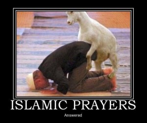 Islam_Goat_Prayers_Answered