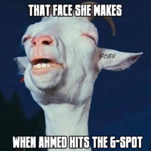 Goat_Ahmed_Hits_G-Spot