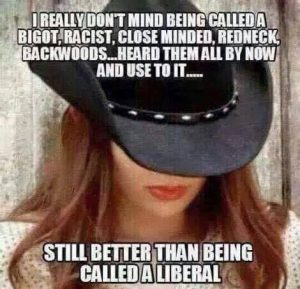 Liberal_Fighting_Words