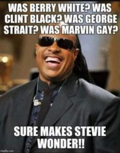 WTF_Makes_Stevie_Wonder