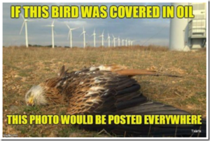 AGW_Windfarm_Dead_Eagle