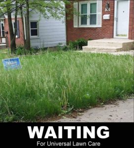 Bernie_Sanders_Universal_LawnCare_Still_Waiting