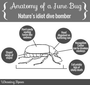 JuneBug_Anatomy_Of_AntiChrist