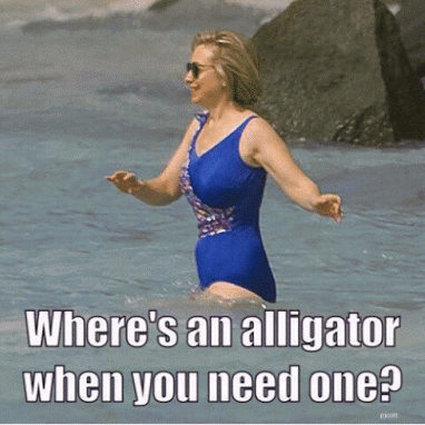 Hillary_Wheres_Alligator_When_Needed