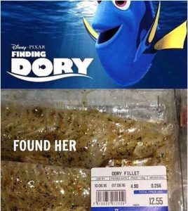 Finding_Dory_Packaged