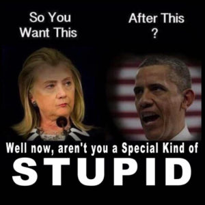 Hillary_Special_Kind_Of_Stupid