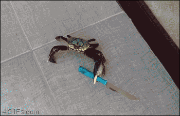 Terrorist_Crab_With_Knifre