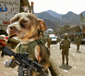 Dogs_Dogs_With_Guns_01