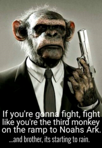 Guns_Fight_Like_Third_Monkey_On_Noahs_Ark