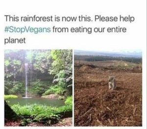 vegan_destroying_rainforest