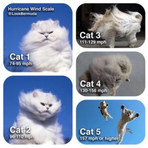 cat_hurricane_mathew_cat_scale