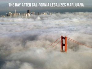 california_prop_64_legal_weed