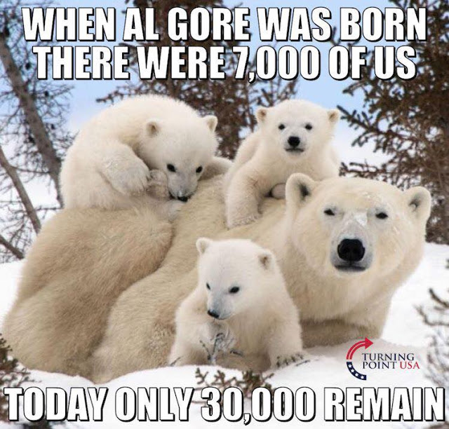 AGW_More_Polar_Bear_Since_Al_Gore_Born.jpg