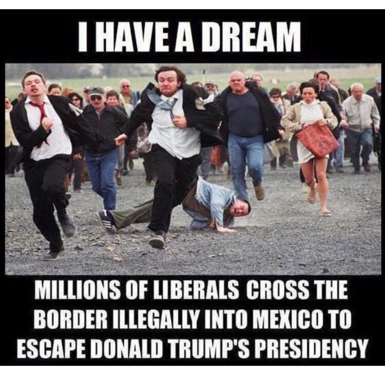 [Image: Liberals_Millions_Cross_Border_To_Escape_Trump.jpg]