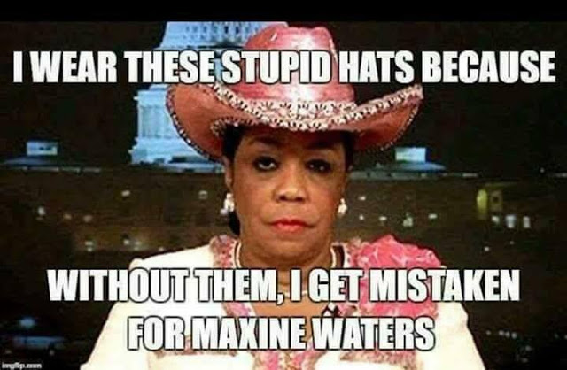 Frederica_Wilson_Dont_Mistake_For_Maxine_Waters.jpg