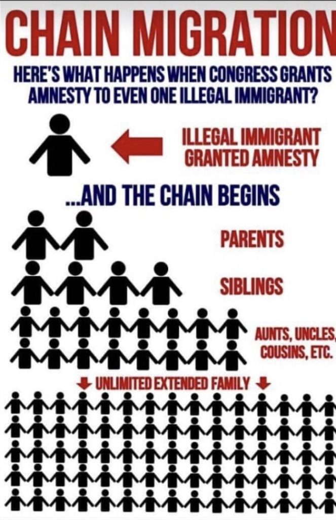 'Chain Migration for Dummies' All You Need to Know in 30 Seconds