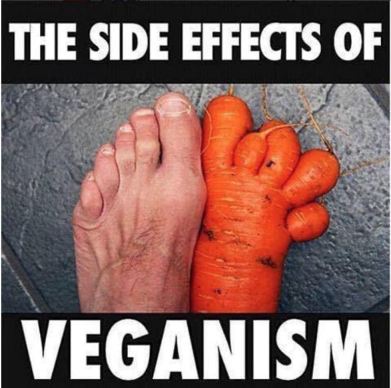 ScienceDiet Researchers Demonstrate Potential Side Effects Of Vegan