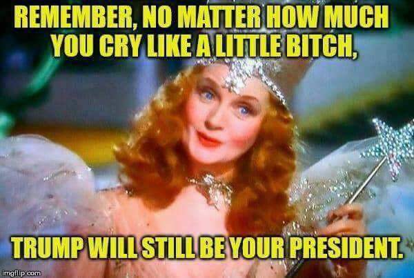 Glinda_TGW_Says_Trump_Still_Your_President.jpg