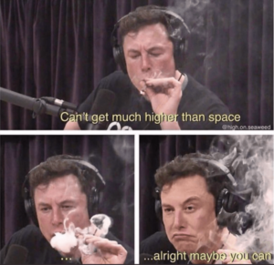 Elon_Musk_Smkes_Weed