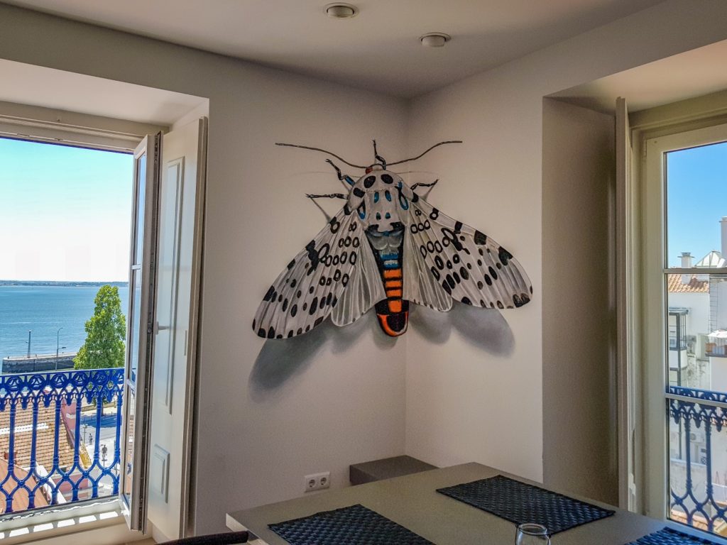 StreetArt_ODEITH_huge-leopard-moth-ofeith-anamorphosis