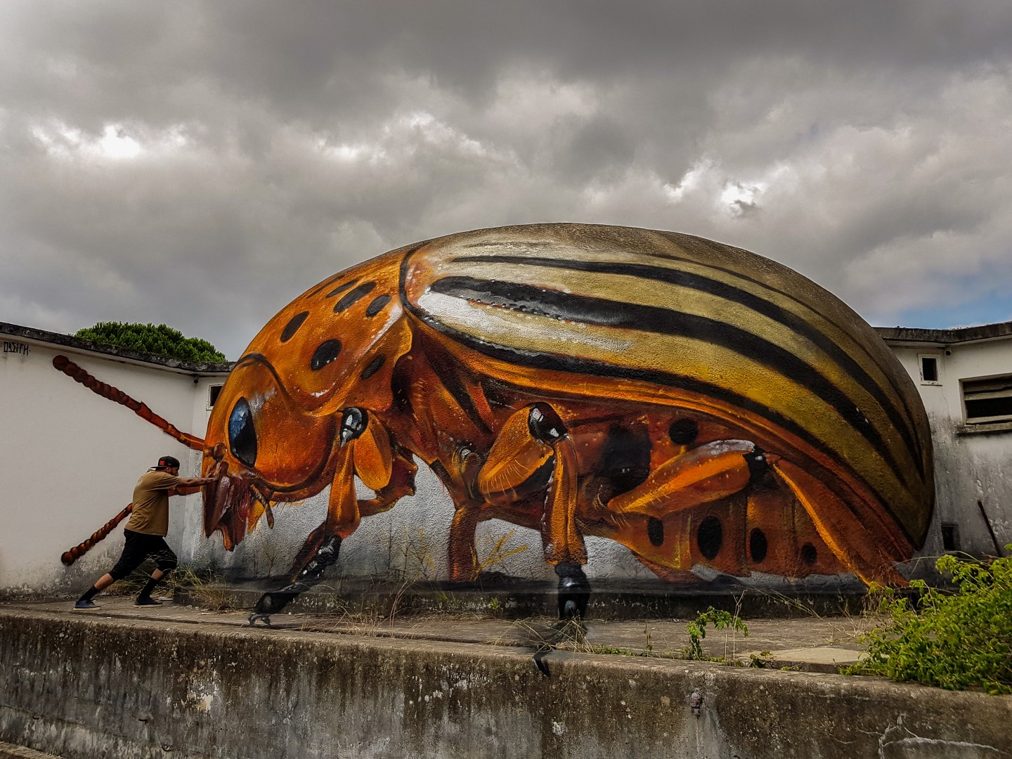 StreetArt_ODEITH_huge-potato-bug