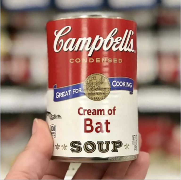 Campbells_Cream_Of_Bat_Soup.jpg